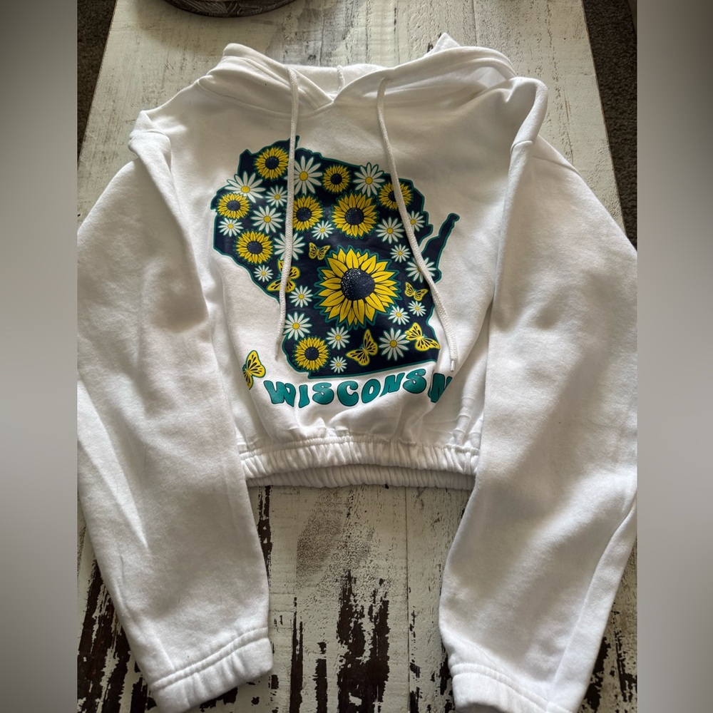Wisconsin Cropped Hoodie